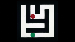 Variant